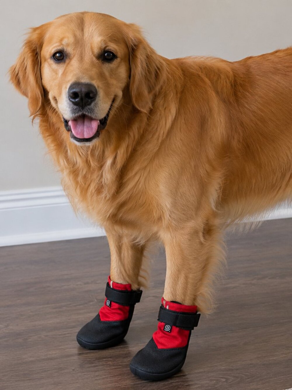 Pet Boots for Dogs – Large Red & Black Protective Boots (Set of 4)